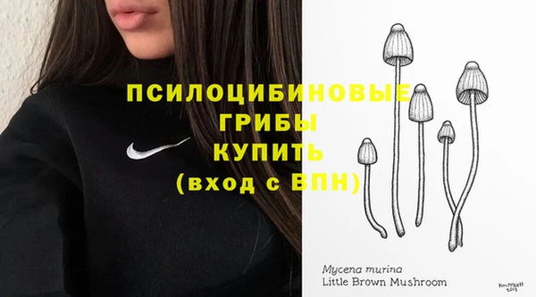 сатива Алексин