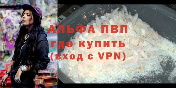 сатива Алексин