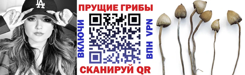 Псилоцибиновые грибы MAGIC MUSHROOMS Архангельск