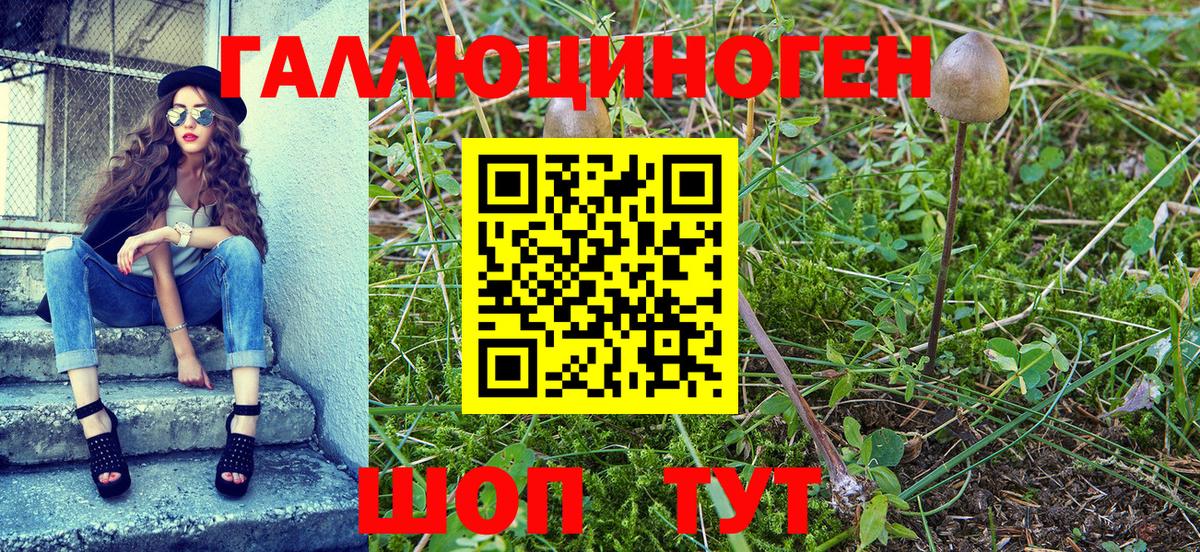 Псилоцибиновые грибы прущие грибы  Вход с VPN  Архангельск 